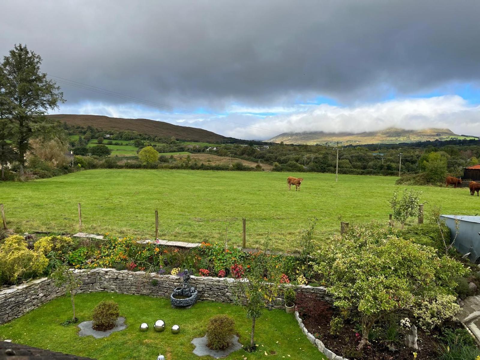 Laburnum B&B Kenmare Exterior foto